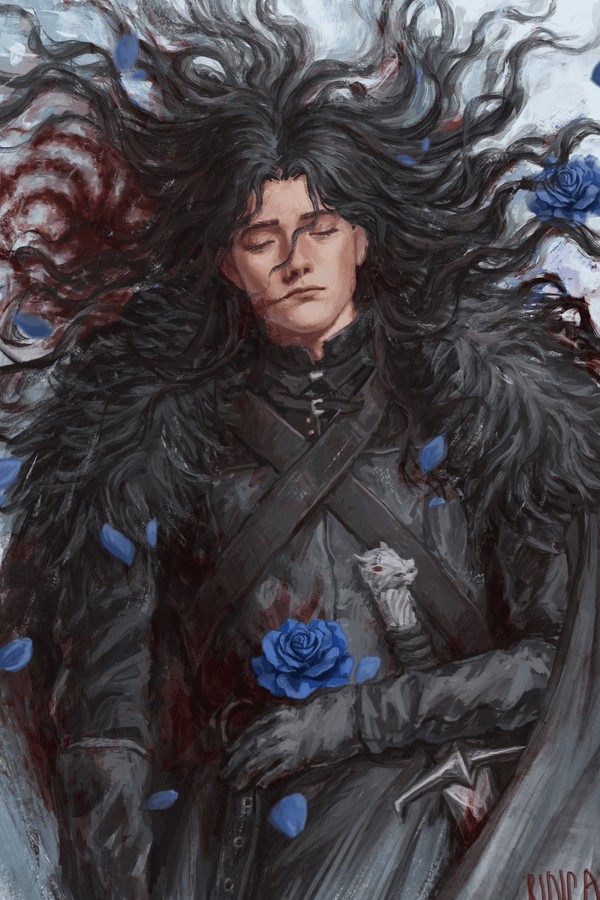 Jon Snow (book)