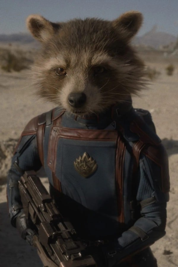 Rocket Raccoon