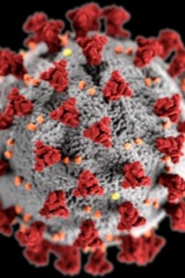 The Virus