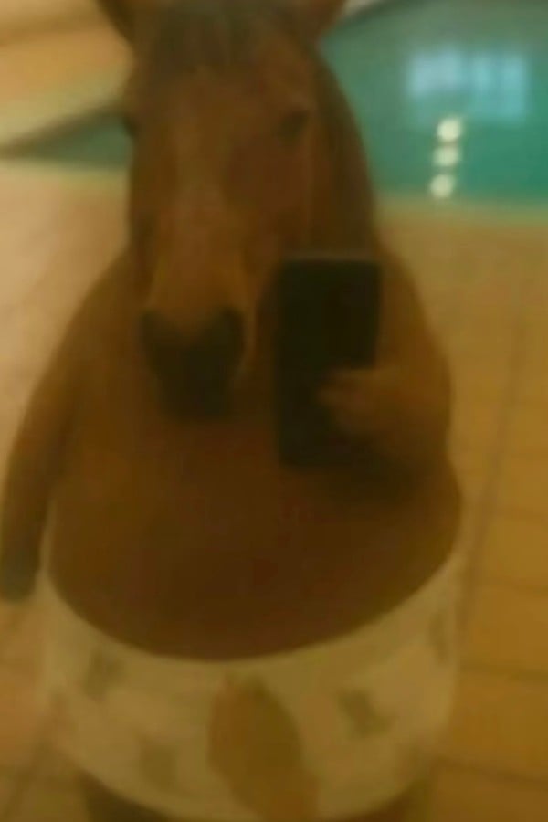 The