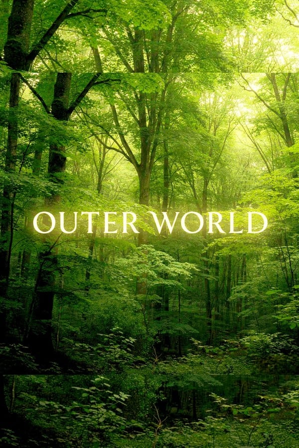 Outer World