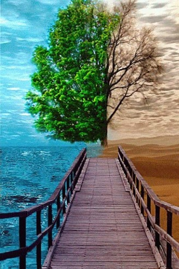 Life in another life