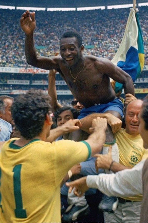 Copa do mundo