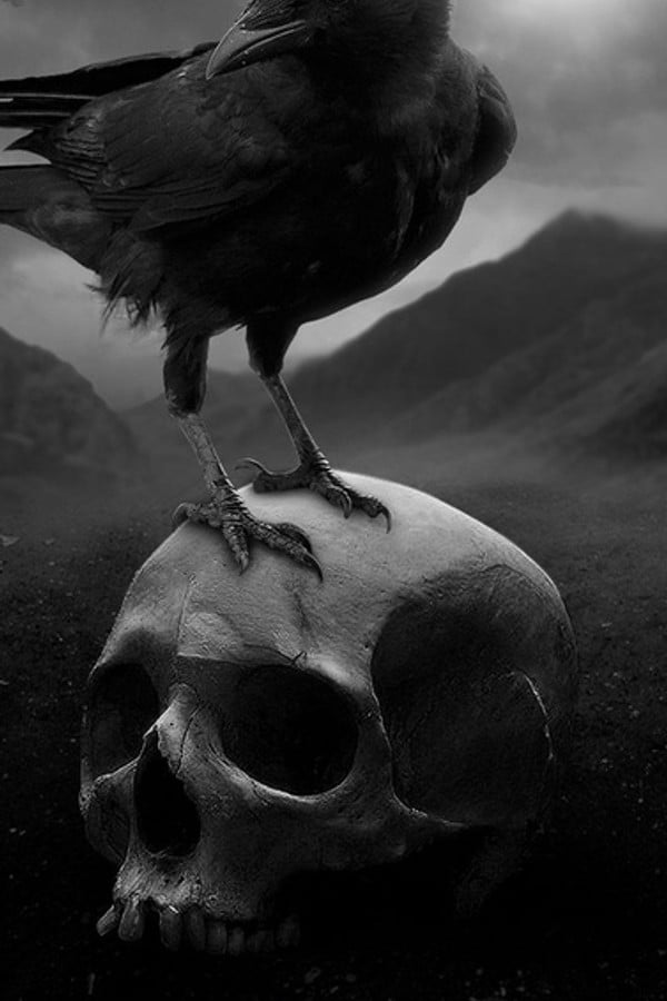 Black Crown