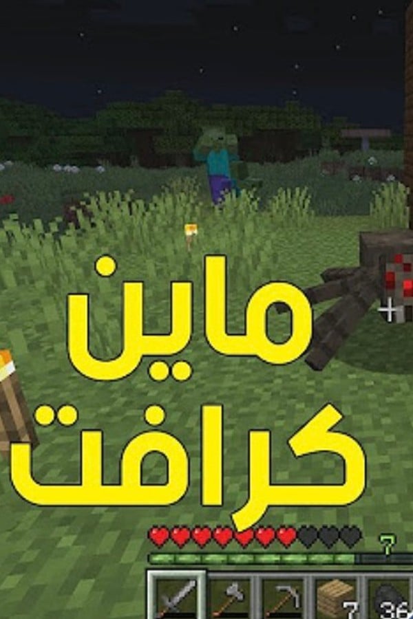 BanderitaX Minecraft Survival Series