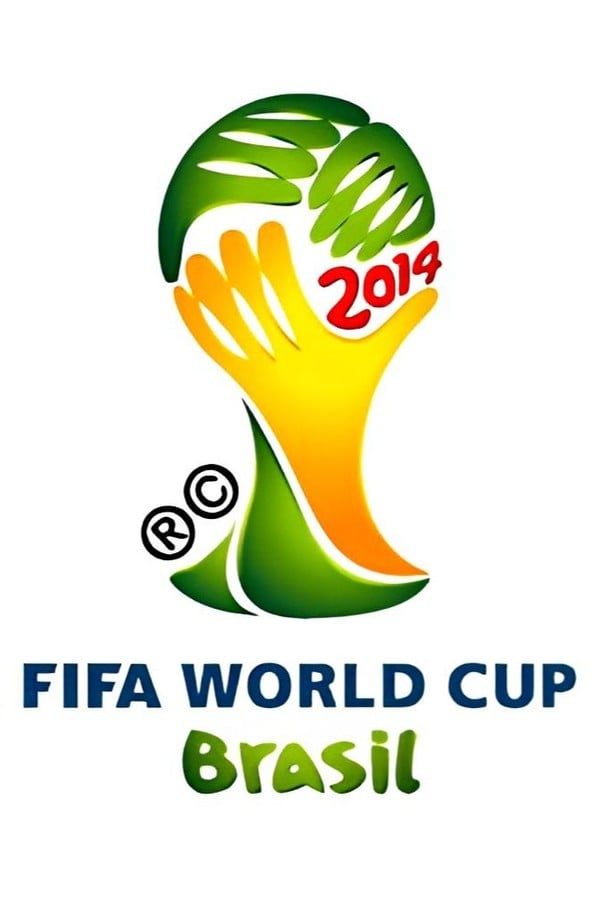 2014 FIFA World Cup