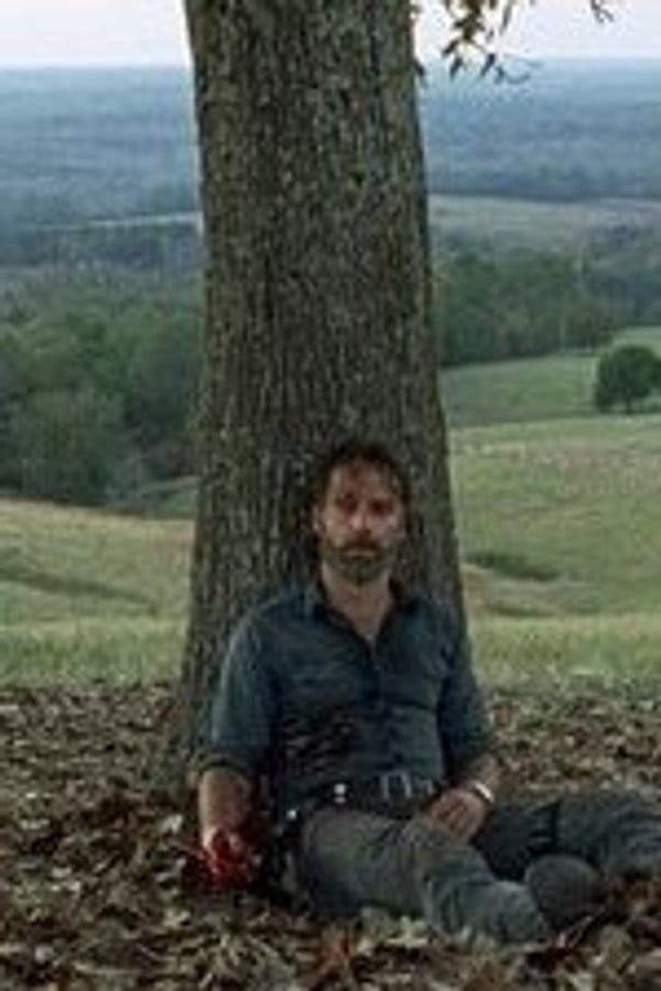 The walking dead but gemini