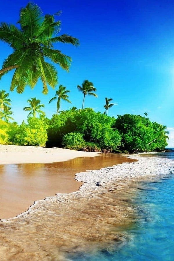 Summer 2026