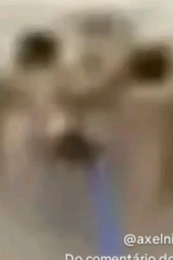Ainda não sei
