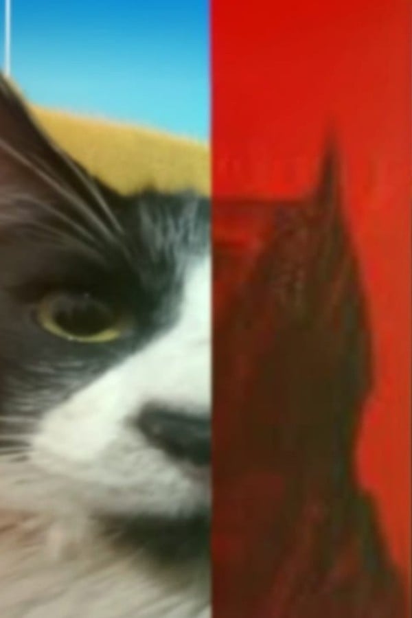 2 faces