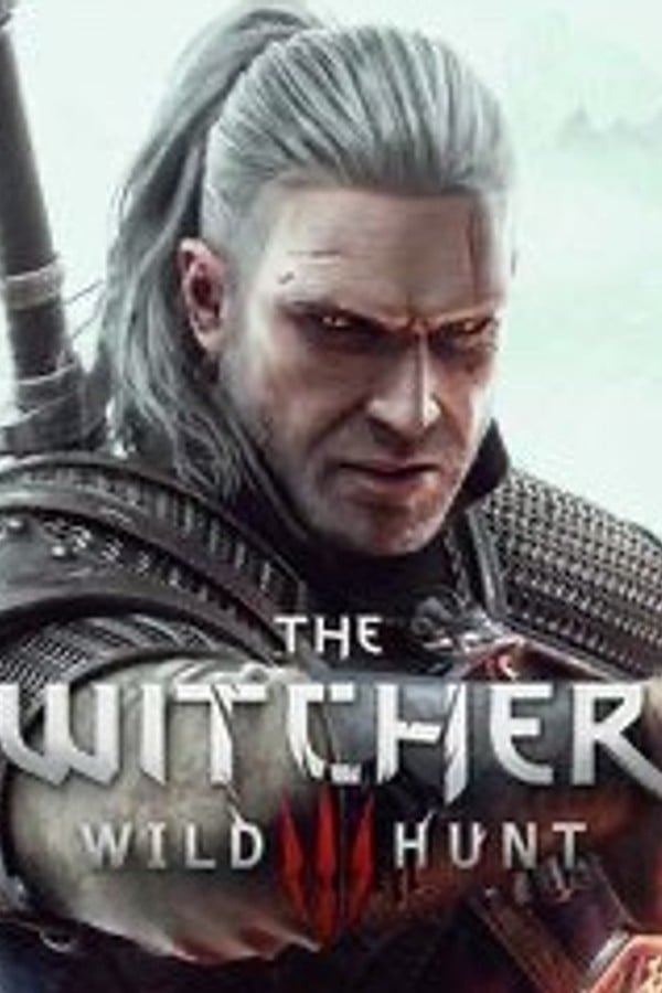 The witcher 3