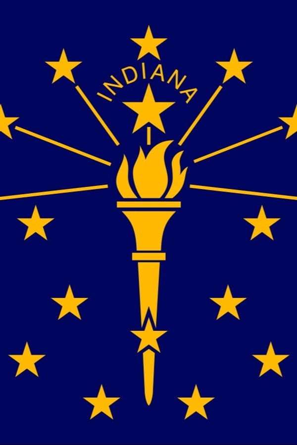 Indiana's Roller Coasters