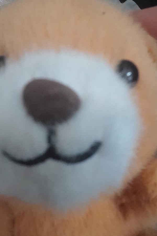 Five Nights at Freddy's