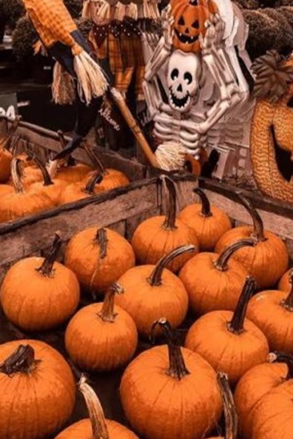 Trick Or Treat