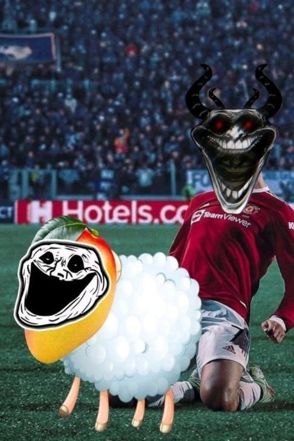 Sigeon
