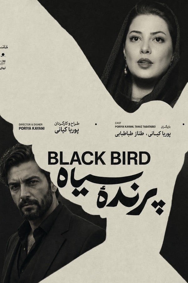 The Black Bird