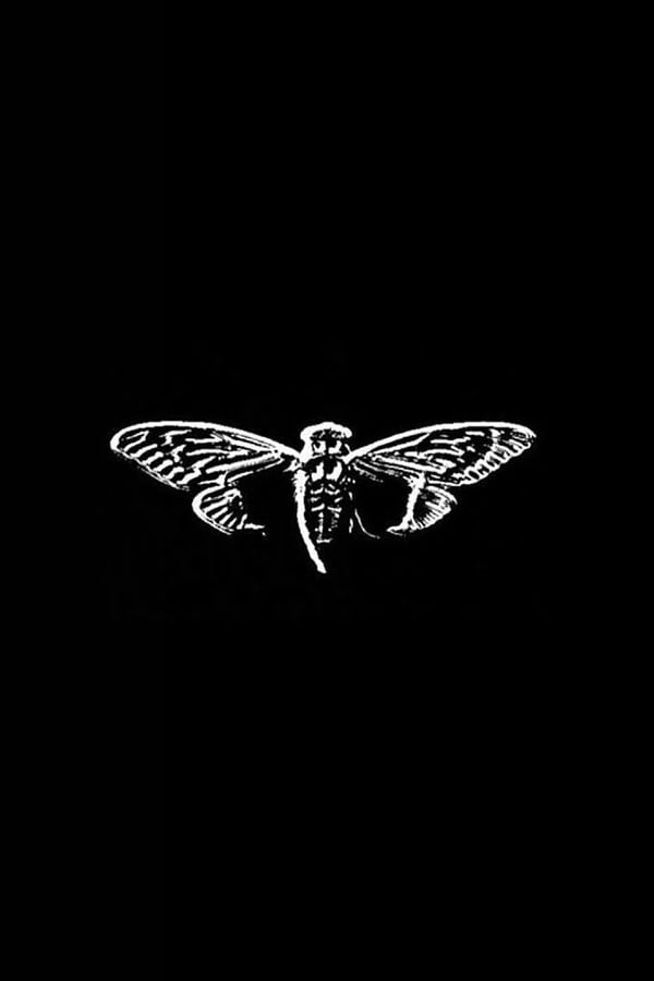 CICADA 3301
