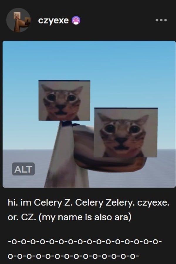 CZ Tumblr