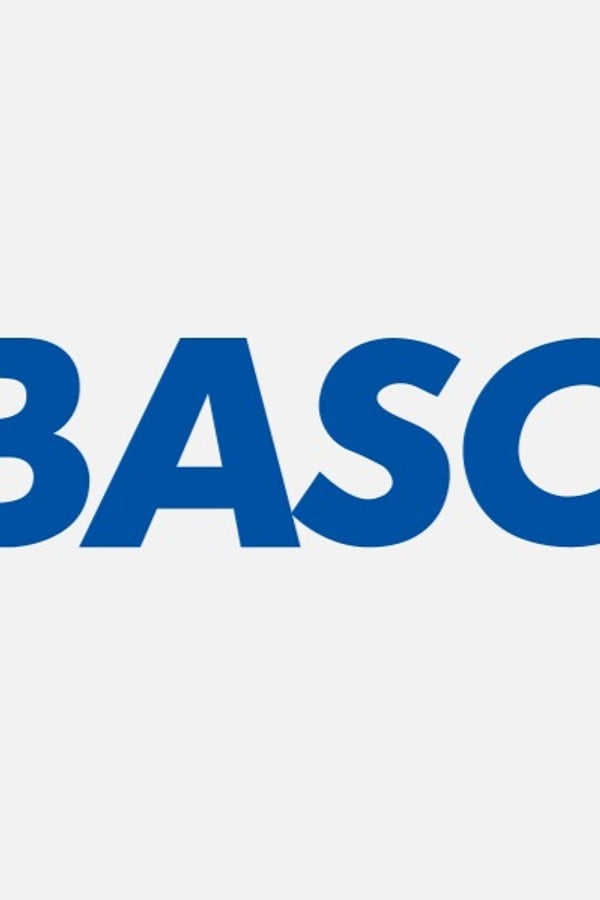 Başo