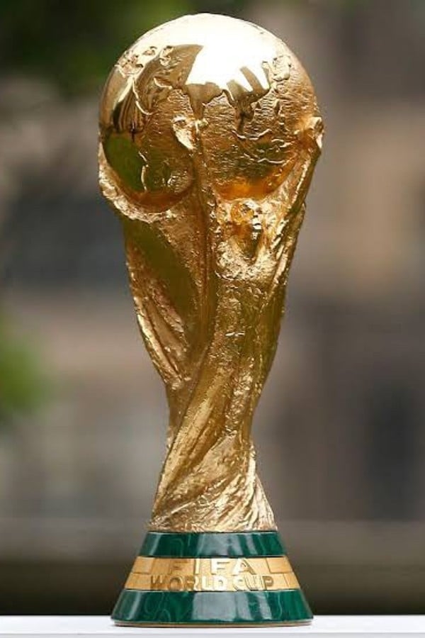 Fifa world cup