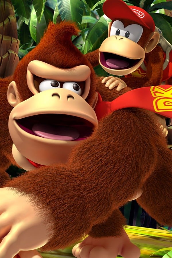Donkey Kong Franchise