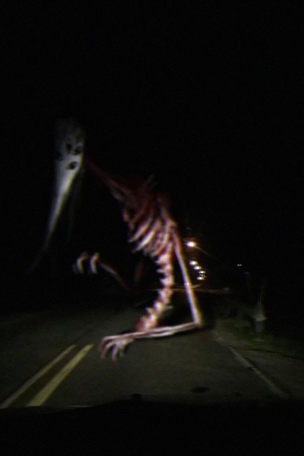 God of Roadkill