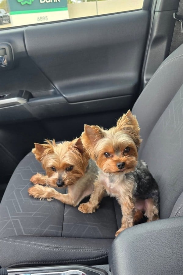 The Adventures of Chewy & Bubbles