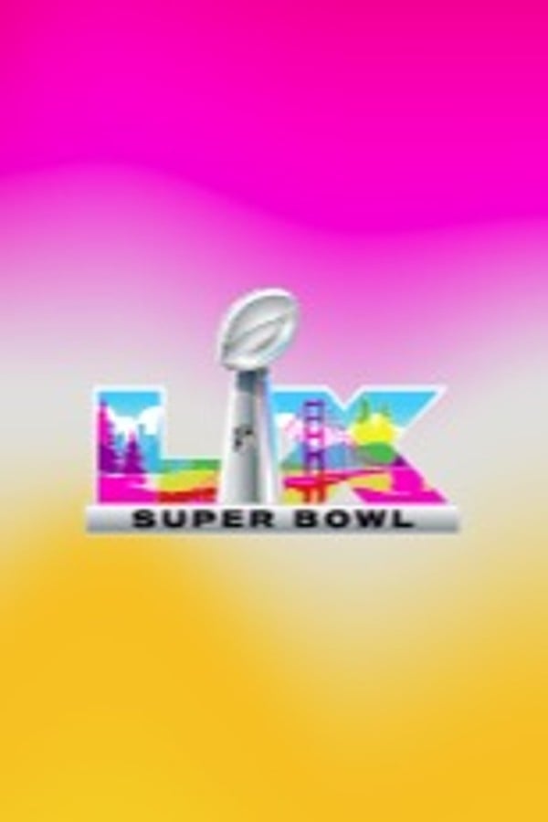 NFL 2025-2026 PLAYOFFS