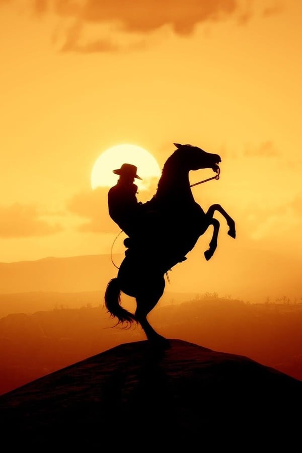 The Great Race