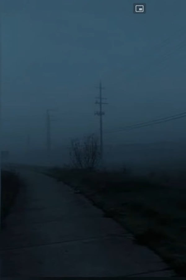 NL's Documentary