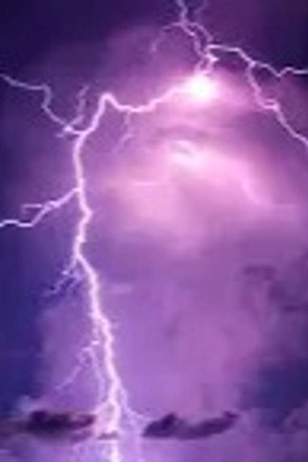 Vital Element