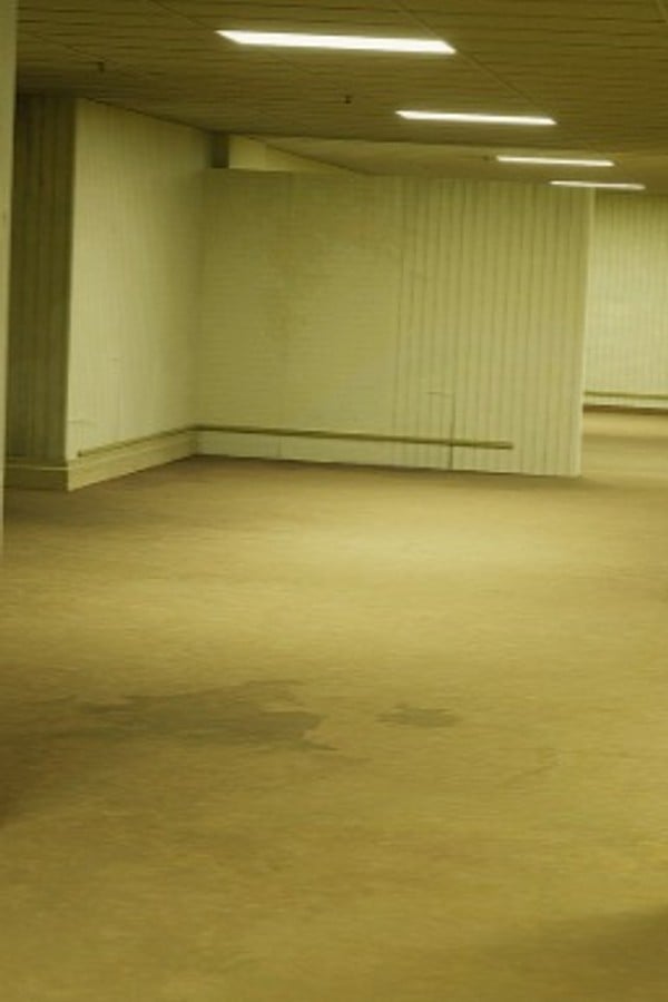 The Backrooms