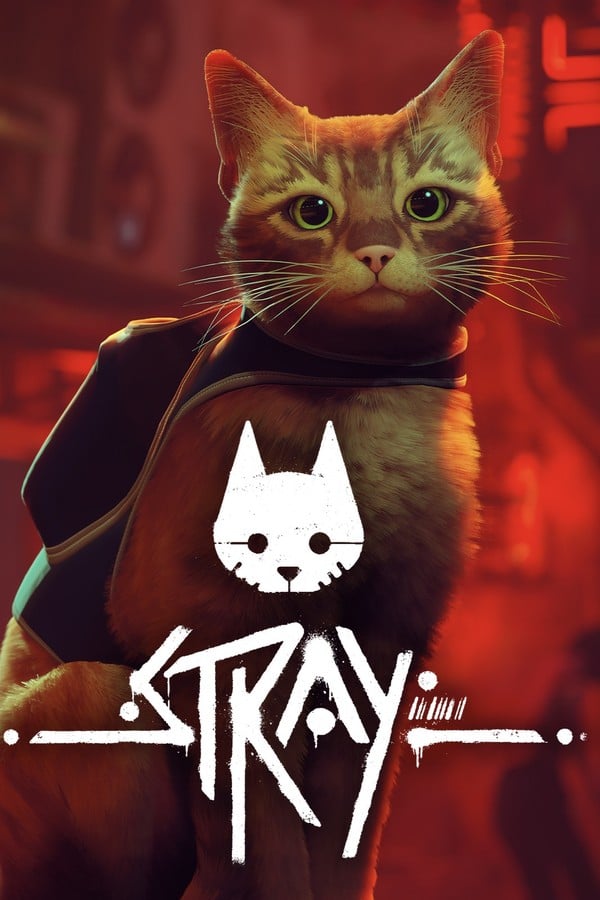 Stray