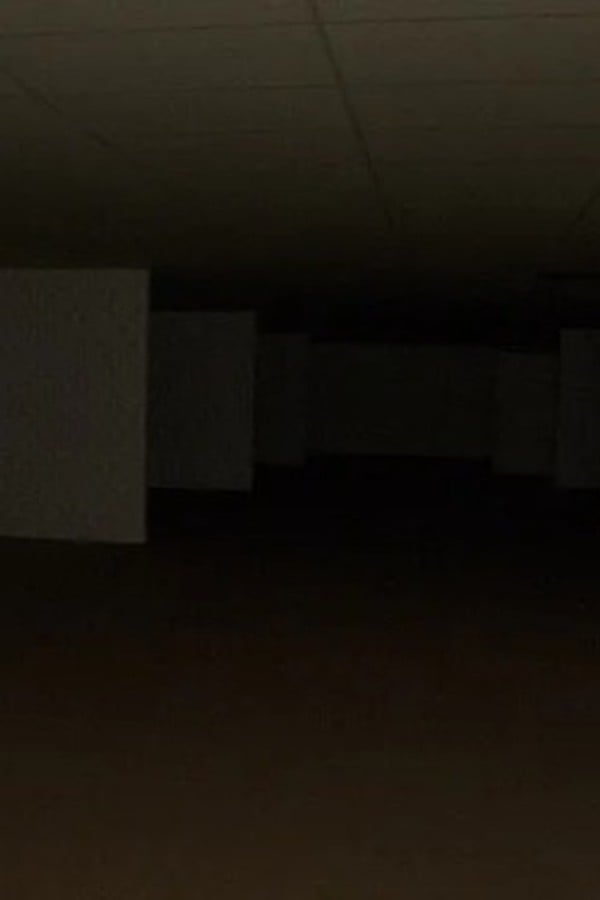 The Backrooms:Origins