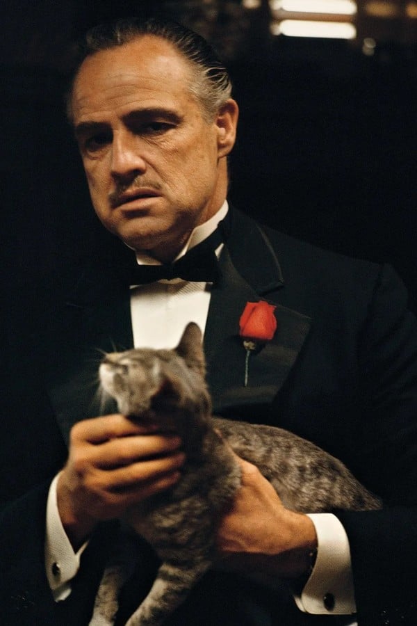 Vito Corleone