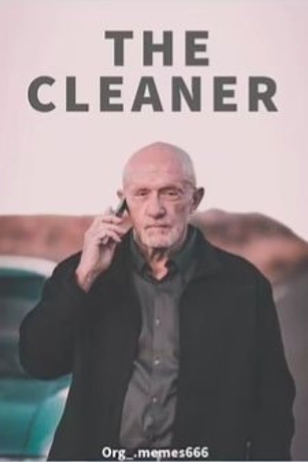 The Cleaner